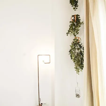 Barcelo 30 * Málaga